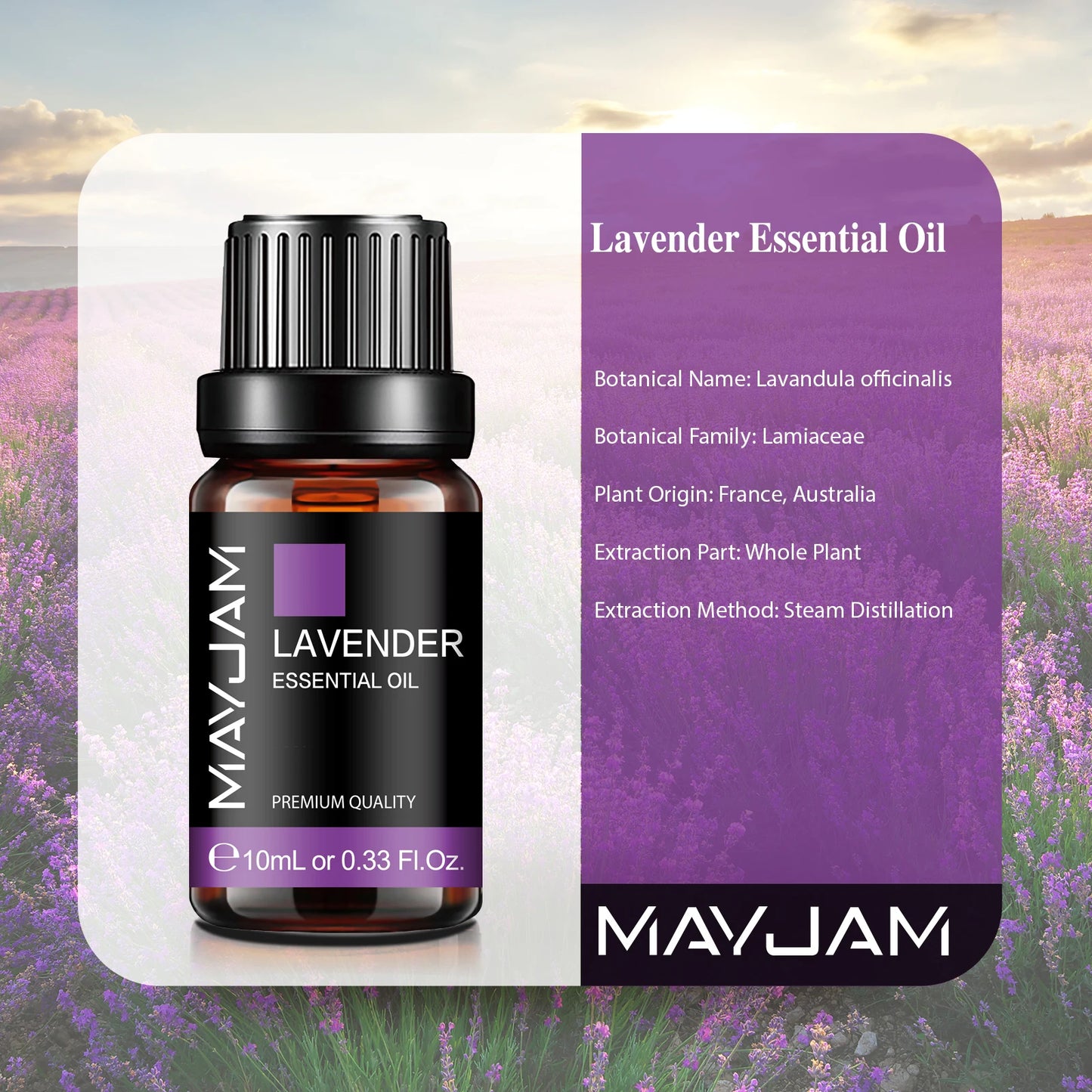 Haven Aura | Essential Oil Set – 10ML (Lavender, Jasmine, Eucalyptus & More)